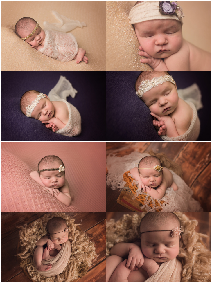 cary newborn photography baby brooke small