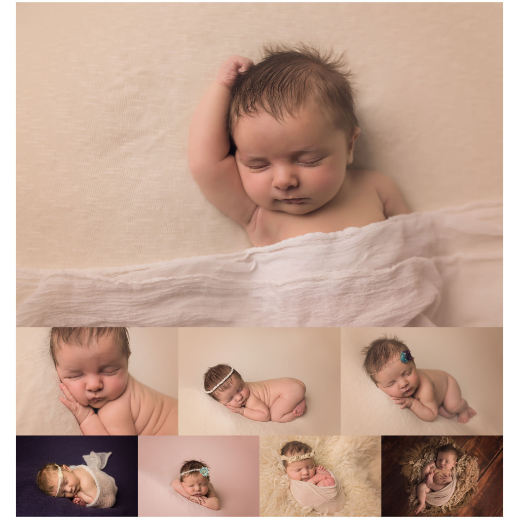 raleigh newborn photographer maggie baby photography