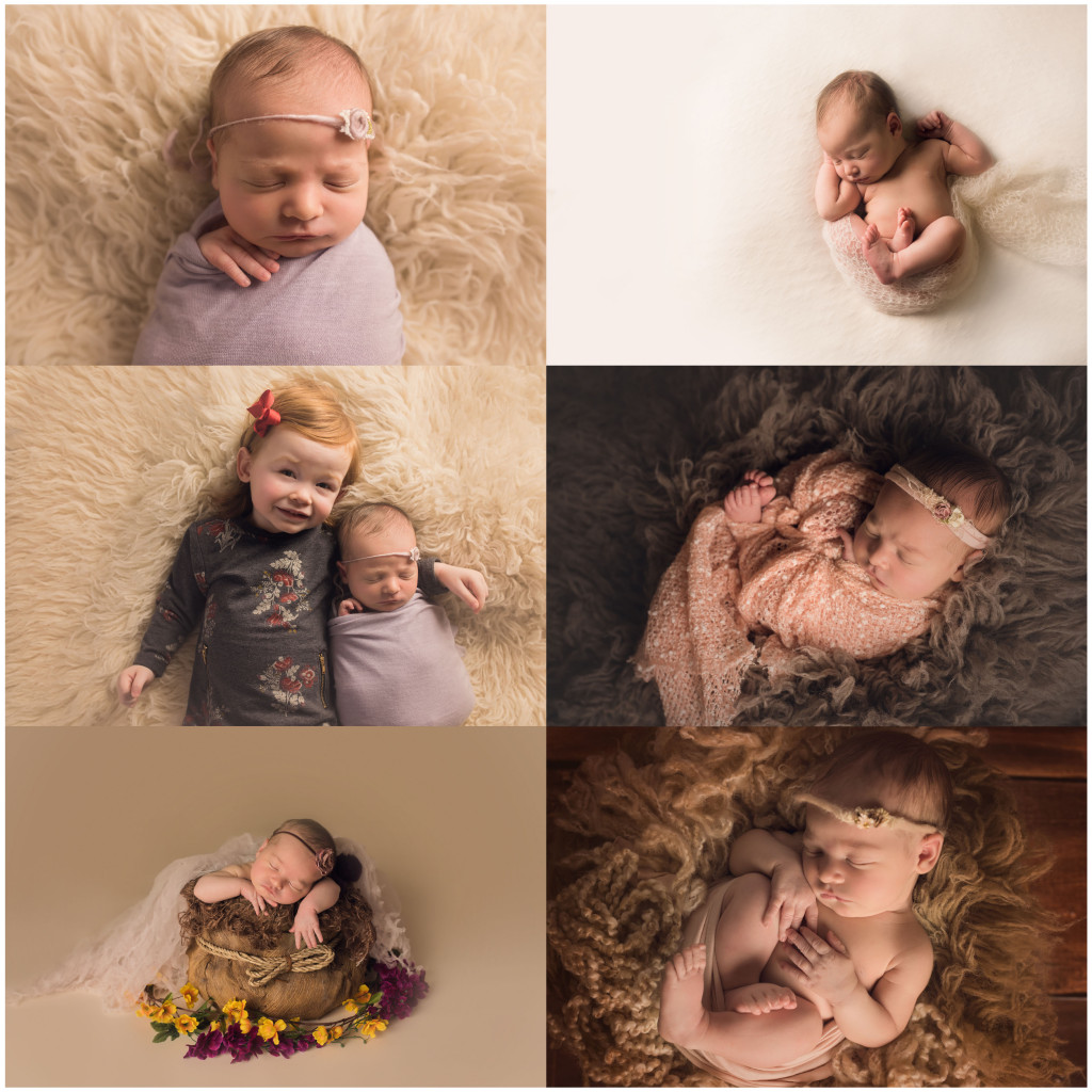 raleigh newborn photography baby everly king