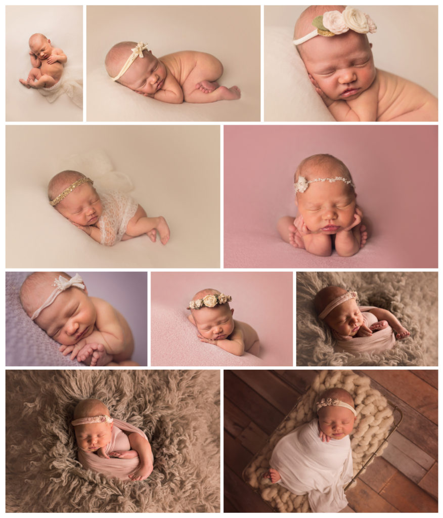 raleigh newborn photographer sally salerno baby harper k