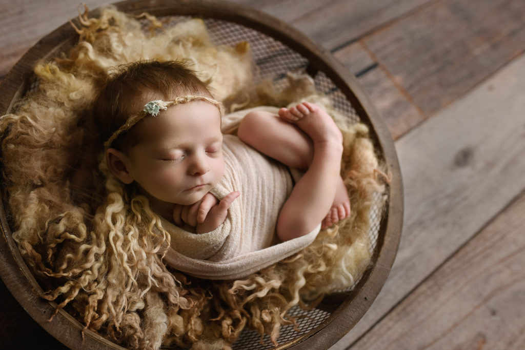newborn in bowl - sally salerno photography 03
