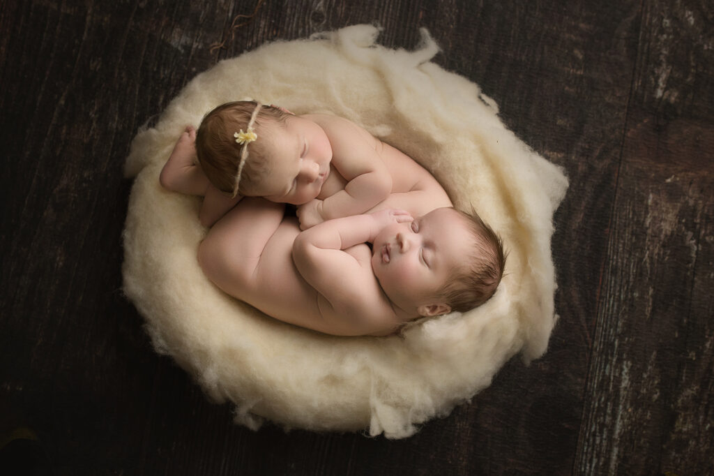 newborn twins in bowl on dark wood