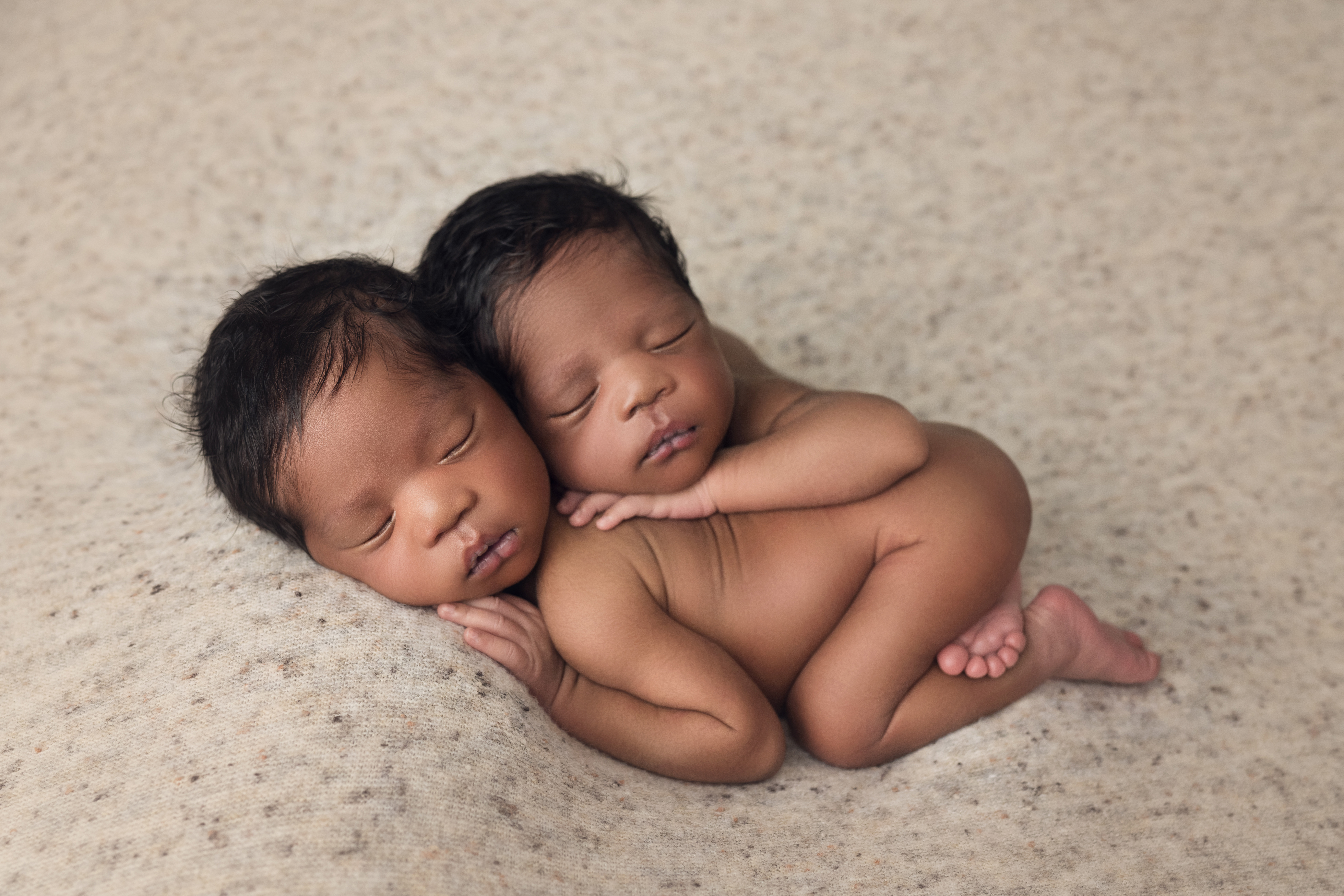 ### Newborn twin boys and big brother wrapped together on cream backdrop