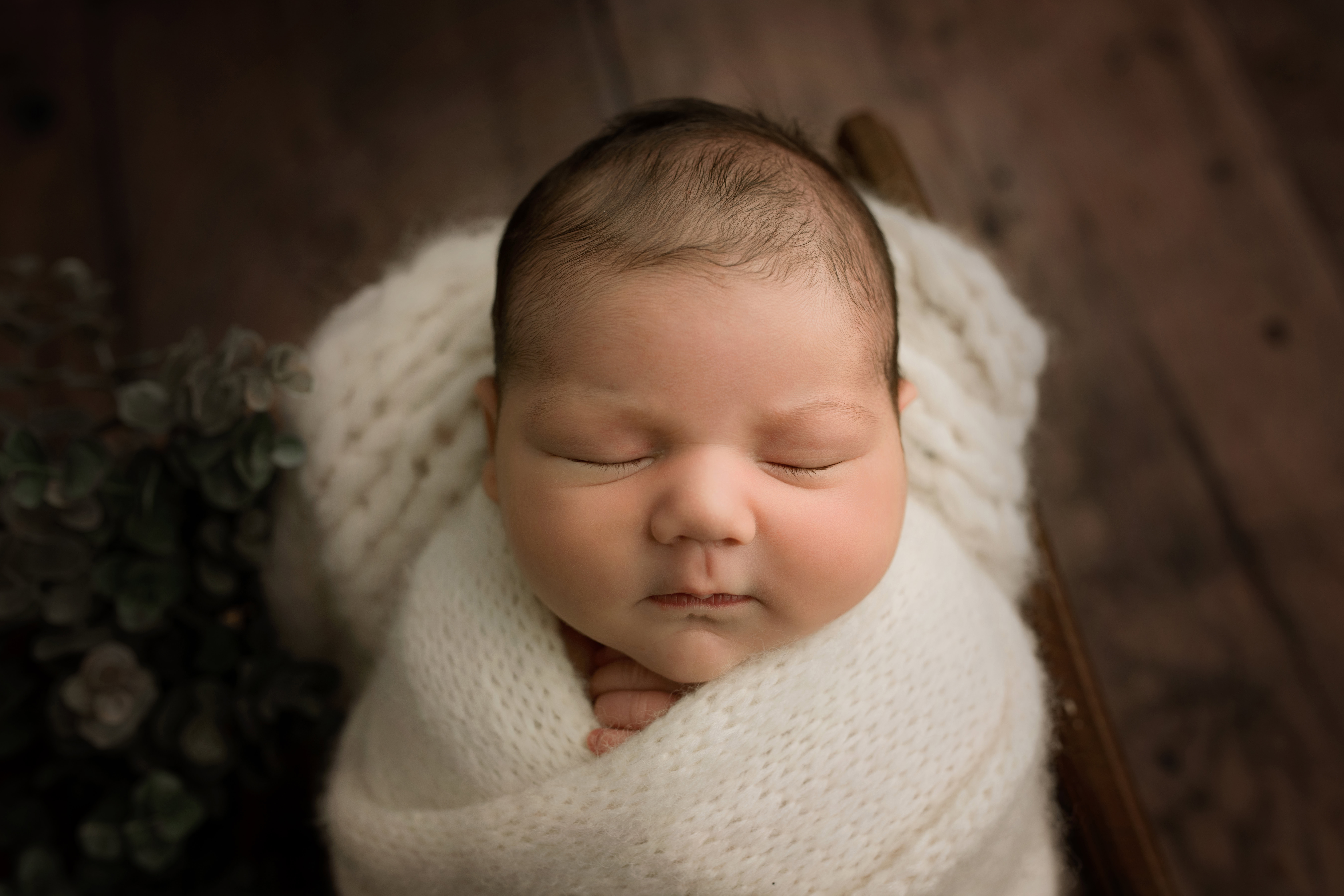 Newborn photography in north carolina
